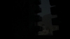 the_100_survivors_2640.jpg