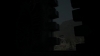 the_100_survivors_2641.jpg