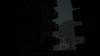 the_100_survivors_2642.jpg