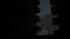 the_100_survivors_2643.jpg