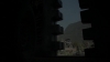 the_100_survivors_2644.jpg