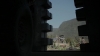 the_100_survivors_2653.jpg