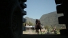 the_100_survivors_2679.jpg