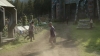the_100_survivors_2695.jpg