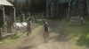 the_100_survivors_2696.jpg