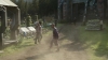 the_100_survivors_2698.jpg