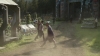 the_100_survivors_2701.jpg