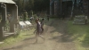 the_100_survivors_2706.jpg