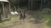 the_100_survivors_2707.jpg