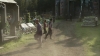the_100_survivors_2709.jpg