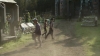 the_100_survivors_2710.jpg