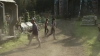 the_100_survivors_2712.jpg