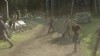 the_100_survivors_2729.jpg
