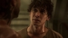 the_100_survivors_2915.jpg