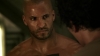 the_100_survivors_2963.jpg