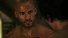 the_100_survivors_2966.jpg