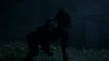 the_100_survivors_2976.jpg