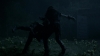 the_100_survivors_2981.jpg