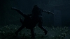 the_100_survivors_2983.jpg