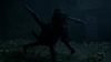 the_100_survivors_2984.jpg