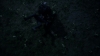 the_100_survivors_2987.jpg