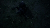 the_100_survivors_2988.jpg