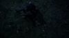 the_100_survivors_2989.jpg
