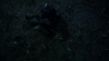 the_100_survivors_2990.jpg