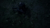 the_100_survivors_2992.jpg