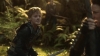 the_100_survivors_3003.jpg