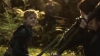the_100_survivors_3005.jpg