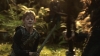 the_100_survivors_3008.jpg