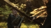 the_100_survivors_3009.jpg