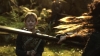 the_100_survivors_3010.jpg