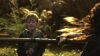 the_100_survivors_3011.jpg