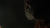the_100_survivors_3029.jpg