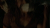 the_100_survivors_3033.jpg