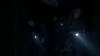 the_100_survivors_3062.jpg