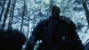 the_100_survivors_3094.jpg