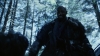 the_100_survivors_3095.jpg