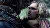 the_100_survivors_3109.jpg