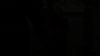 the_100_survivors_3285.jpg