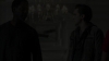 the_100_survivors_3287.jpg