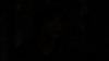 the_100_survivors_3411.jpg