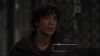 the_100_survivors_3415.jpg