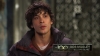 the_100_survivors_3460.jpg