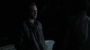 the_100_survivors_3515.jpg
