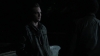 the_100_survivors_3517.jpg