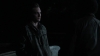 the_100_survivors_3518.jpg
