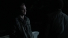 the_100_survivors_3529.jpg